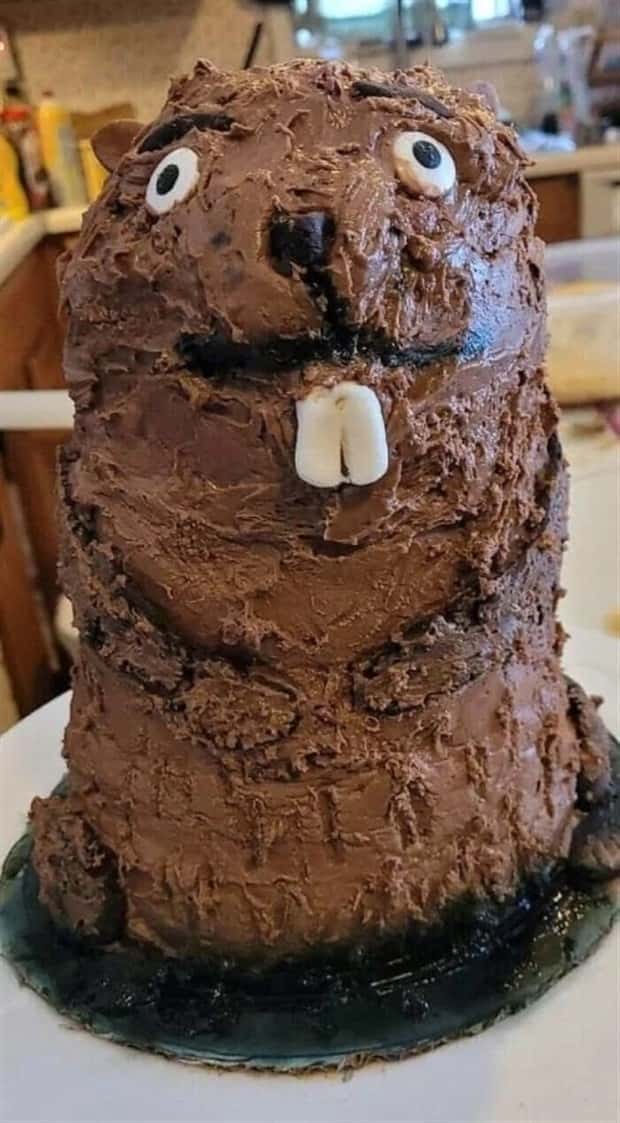cake failures (3)