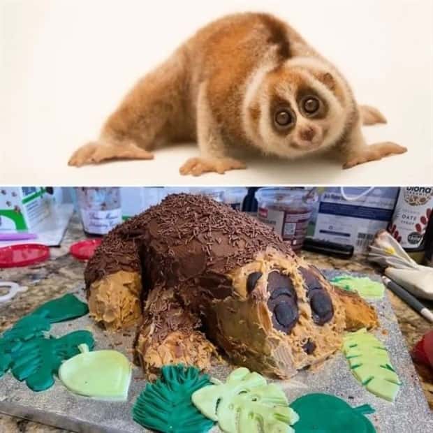 cake failures (6)