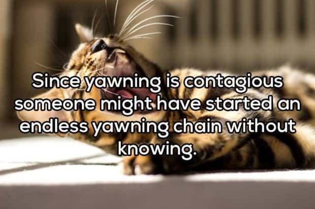 crazy shower thoughts (15)