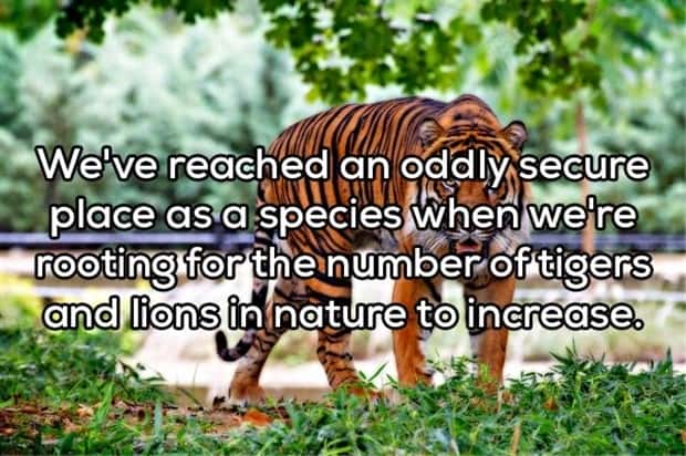crazy shower thoughts (2)