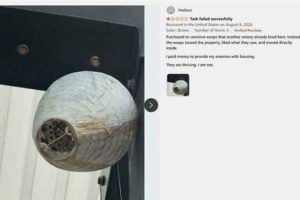 27 Amazon Reviews Funnier Than the Products (27 photos)
