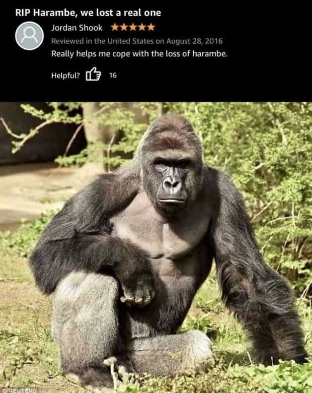 funny amazon reviews (19)