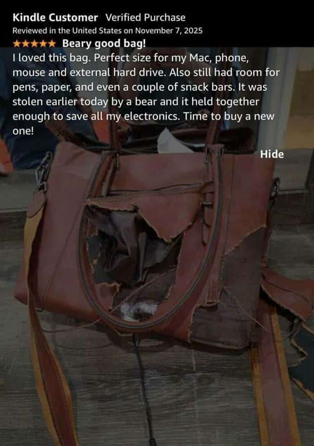 funny amazon reviews (2)