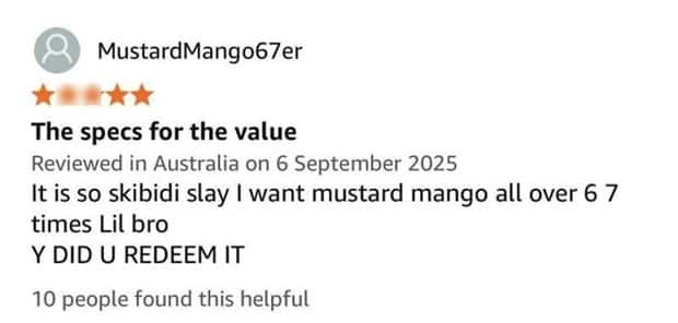 funny amazon reviews (24)