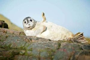 Get Ready for Funny Animals #457 (19 photos)