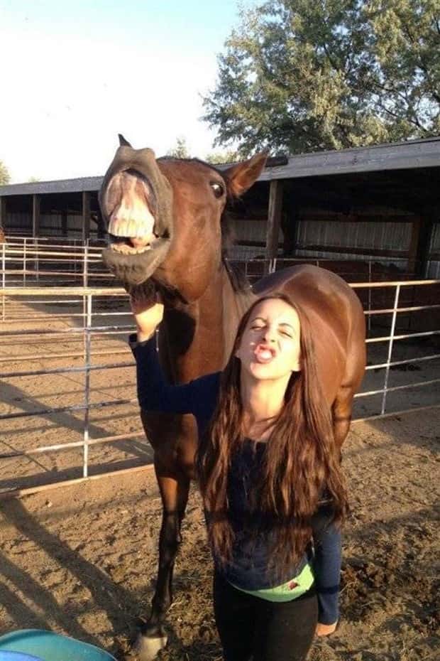 funny animals (15)