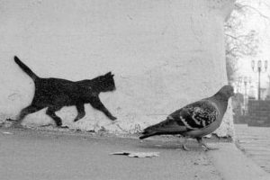 Get Ready for Funny Animals #461 (20 photos)