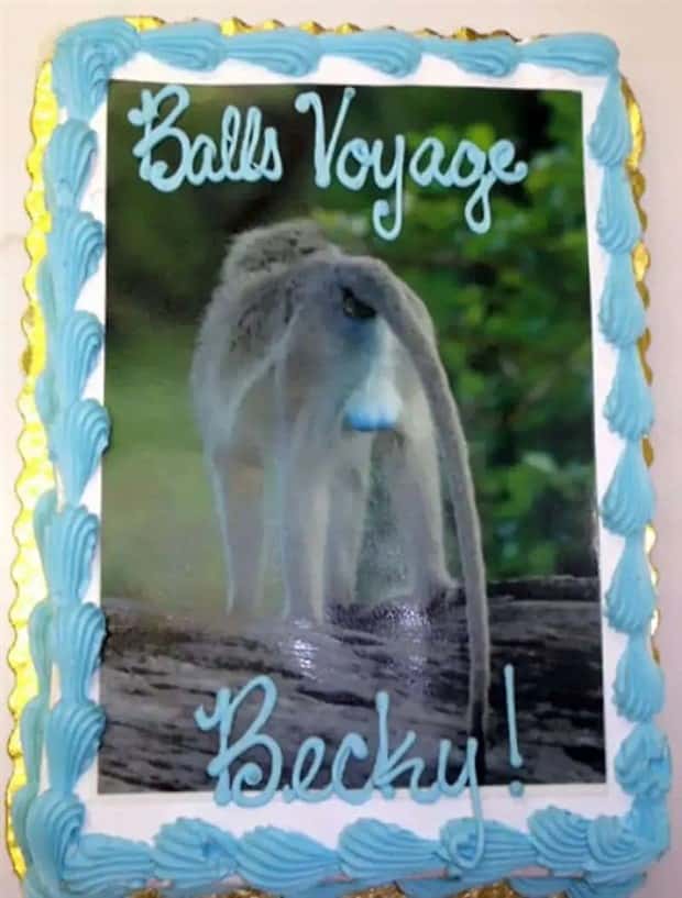 funny goodbye cakes (14)