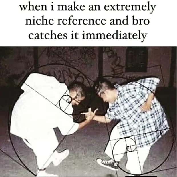 funny memes (10)