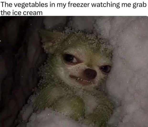 funny memes (13)