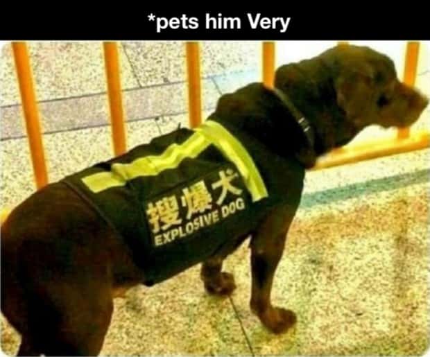 funny memes (17)