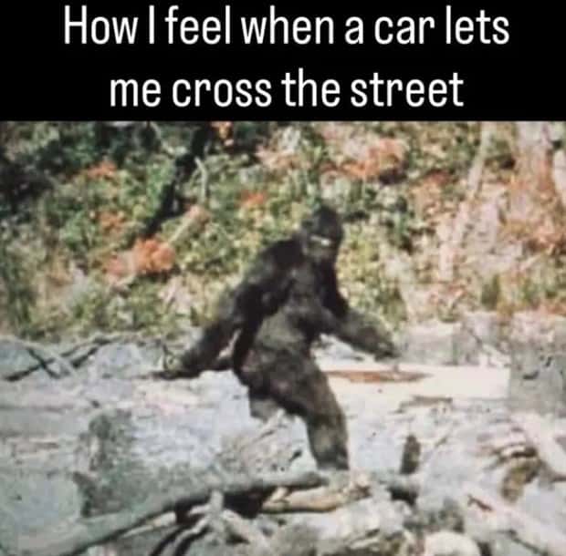 funny memes (17)