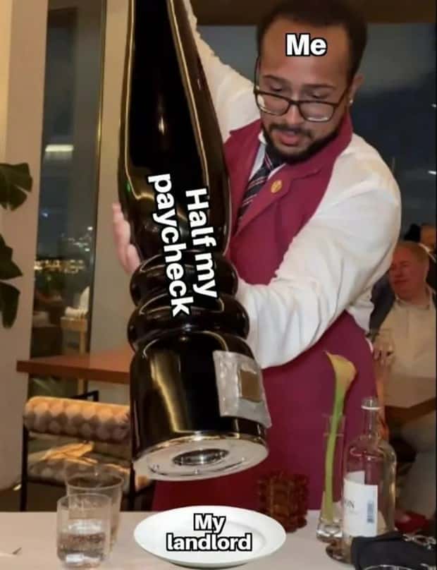 funny memes (3)