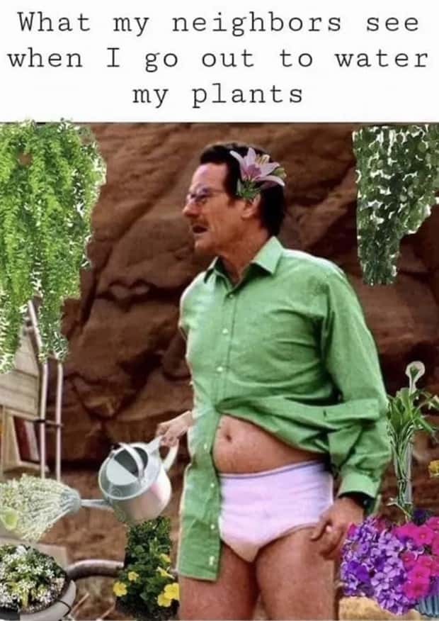 funny memes (4)
