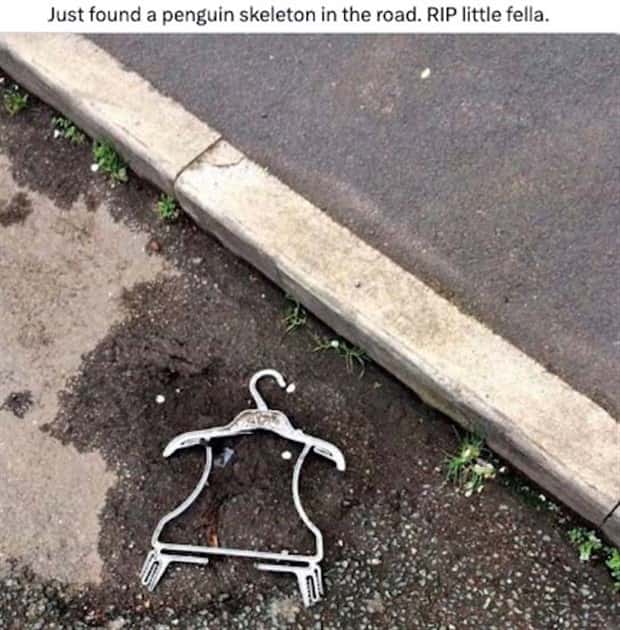 funny memes (5)