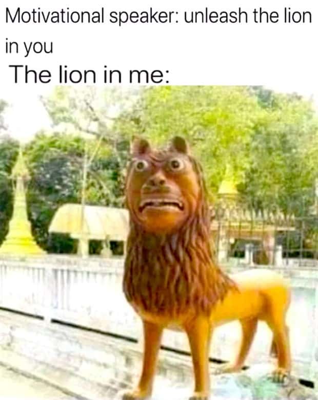 funny memes (7)