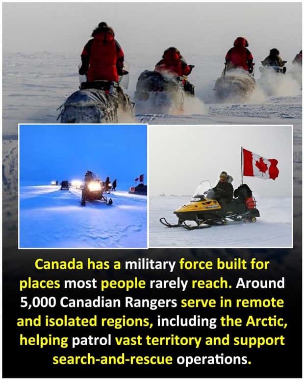 funny random facts (10)