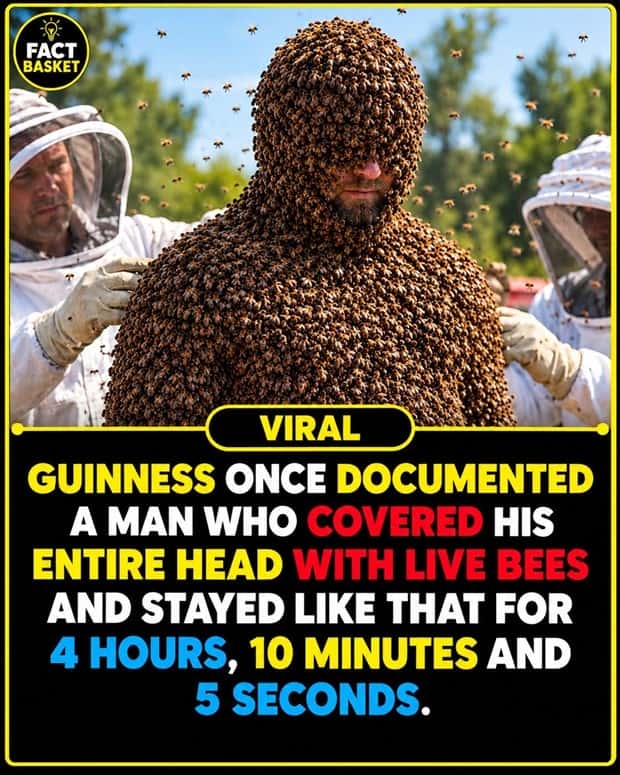 funny random facts (13)