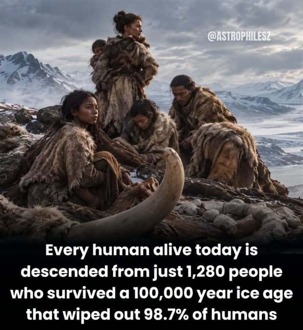 funny random facts (14)