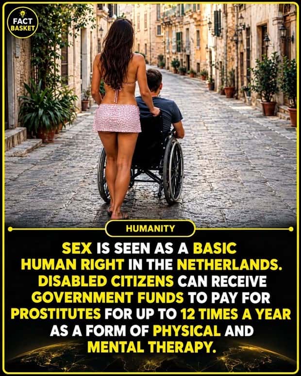 funny random facts (16)