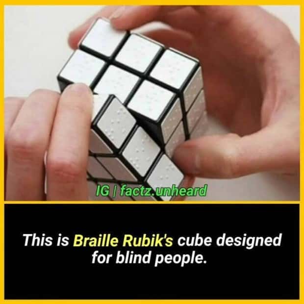 funny random facts (17)