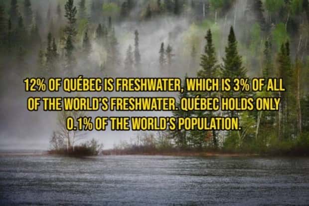 funny random facts (20)