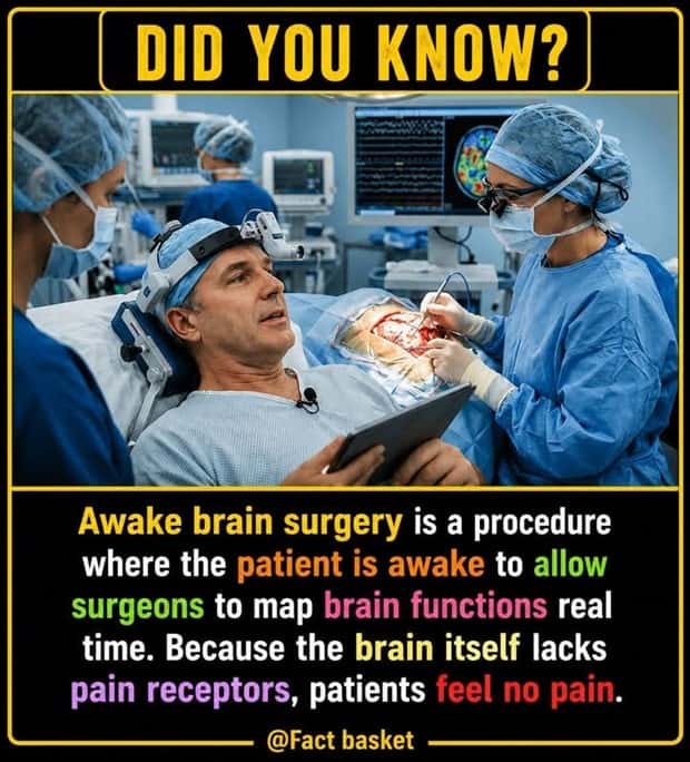 funny random facts (5)