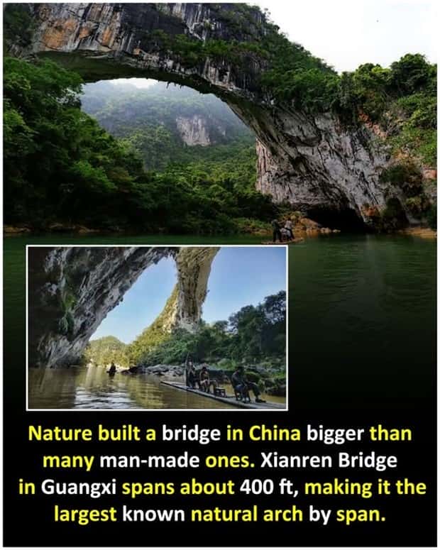 funny random facts (6)