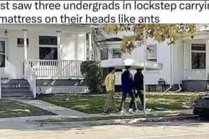 Funny Pics and Memes to Make You Laugh #228 (22 photos)
