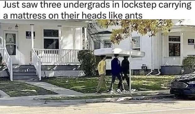 hilarious memes and pics (10)