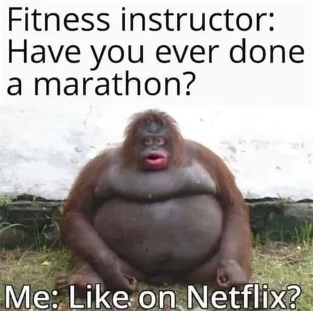 hilarious memes and pics (20)