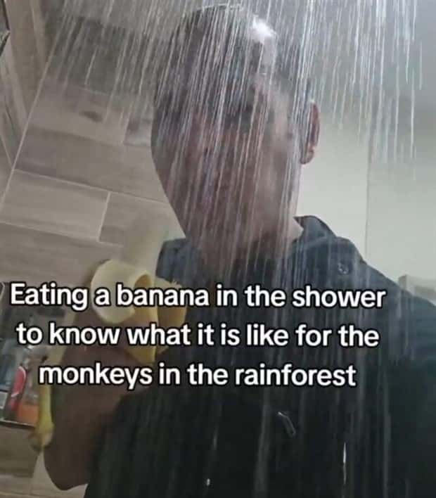 hilarious memes and pics (21)