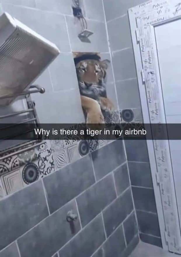hilarious memes and pics (22)