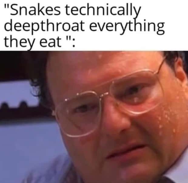 hilarious memes and pics (4)