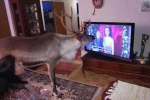 Klyker Picdump #2099 (44 photos)