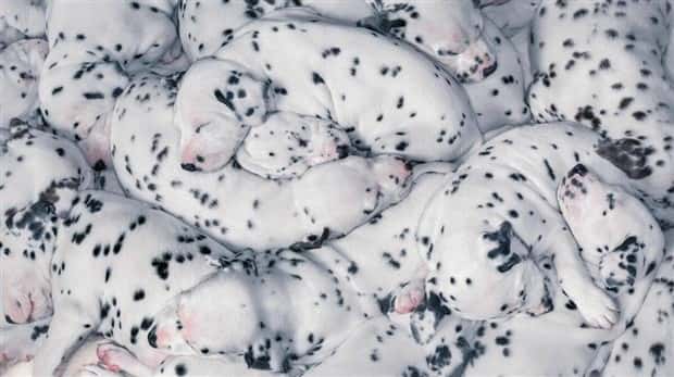 klyker picdump 10 29 2026 (21)