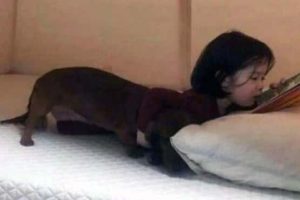 Look Twice, Trust Me #28 (19 photos)