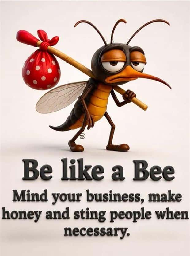 motivational quotes (2)