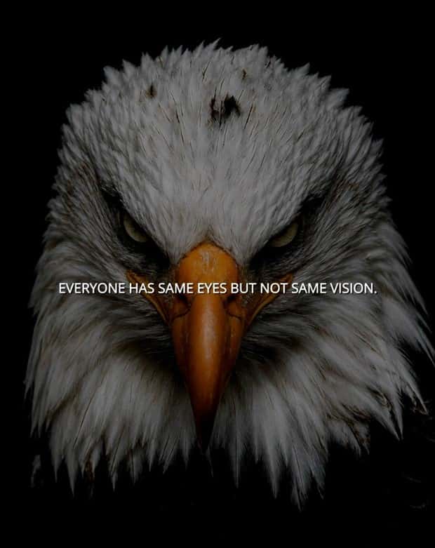 motivational quotes (5)