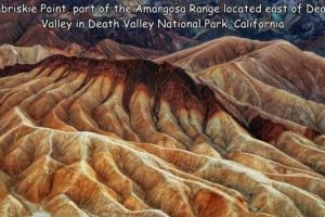 Interesting Pictures with Captions #230 (20 photos)