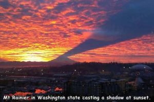 Interesting Pictures with Captions #228 (21 photos)