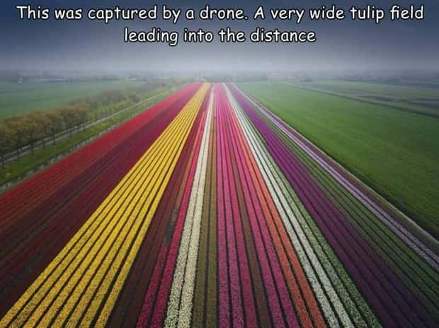 pictures with captions (15)