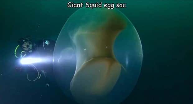 pictures with captions (17)