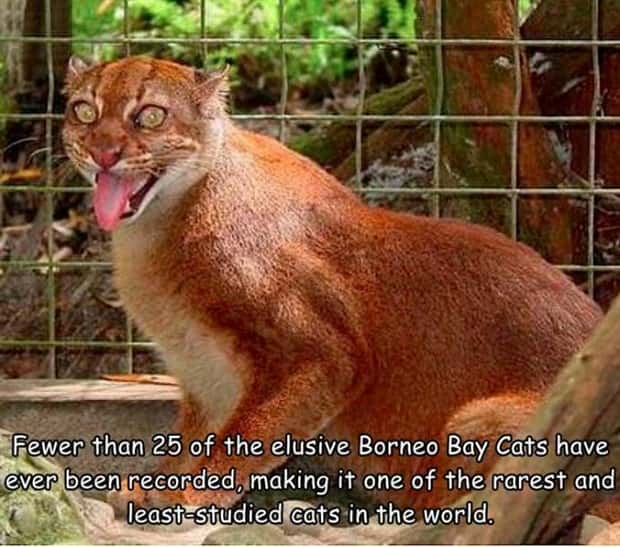 pictures with captions (20)