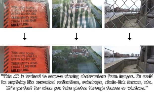 pictures with captions (3)