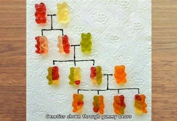 pictures with captions (4)