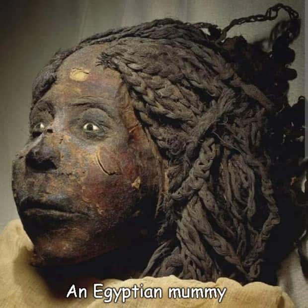 pictures with captions (4)