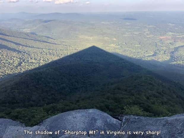 pictures with captions (5)