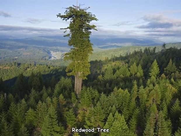 pictures with captions (6)