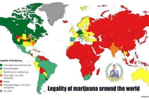 Charts and Maps with Intriguing Data #230 (21 photos)